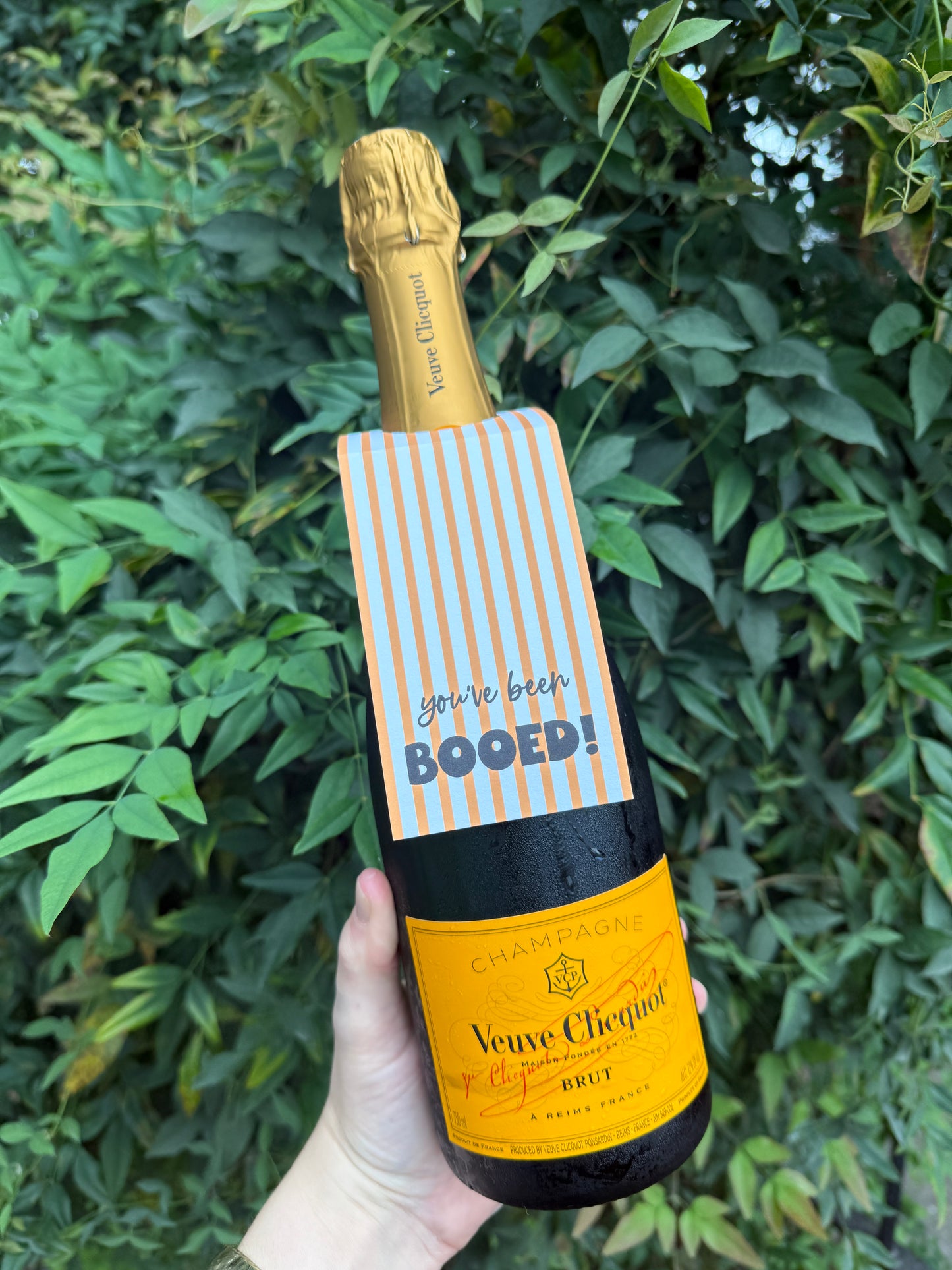 You’ve Been Booed! Wine Tags