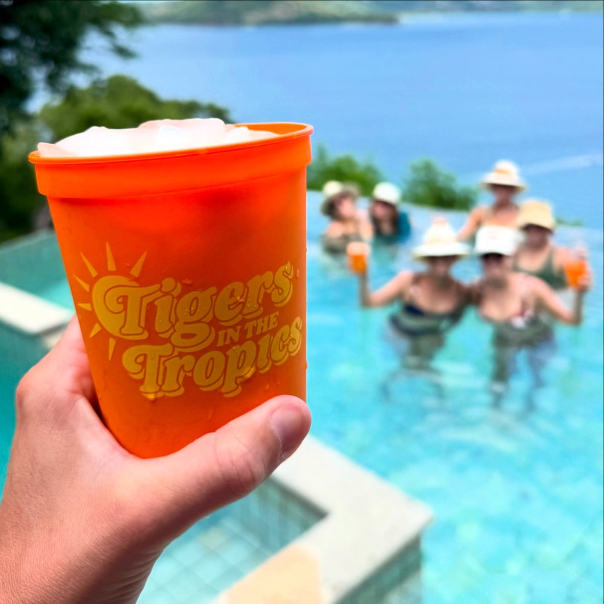 Custom Stadium Cups