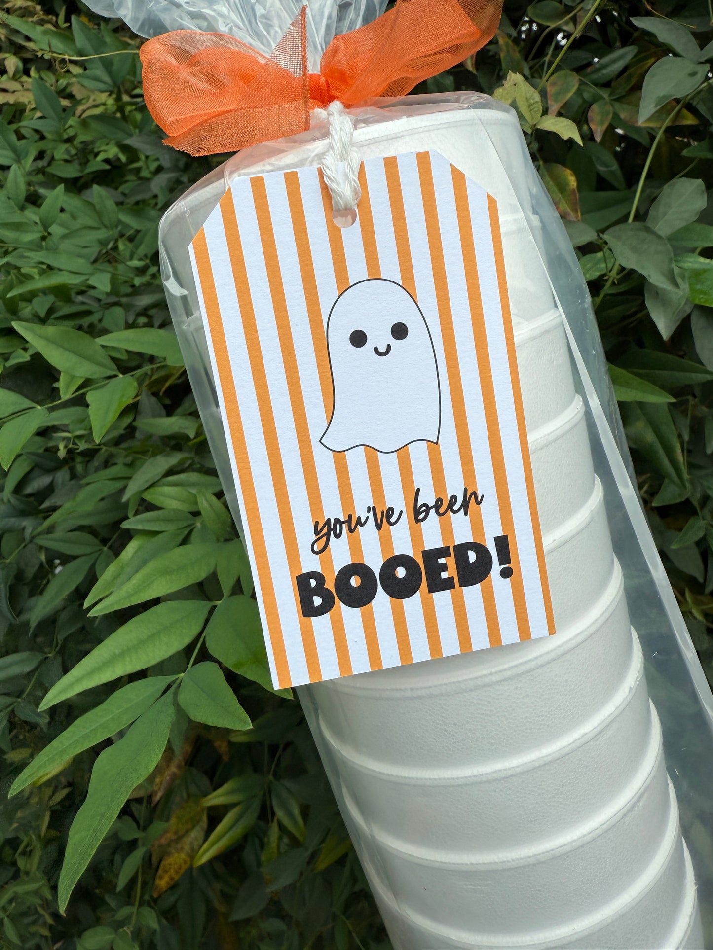 You’ve Been Booed! Gift Tags