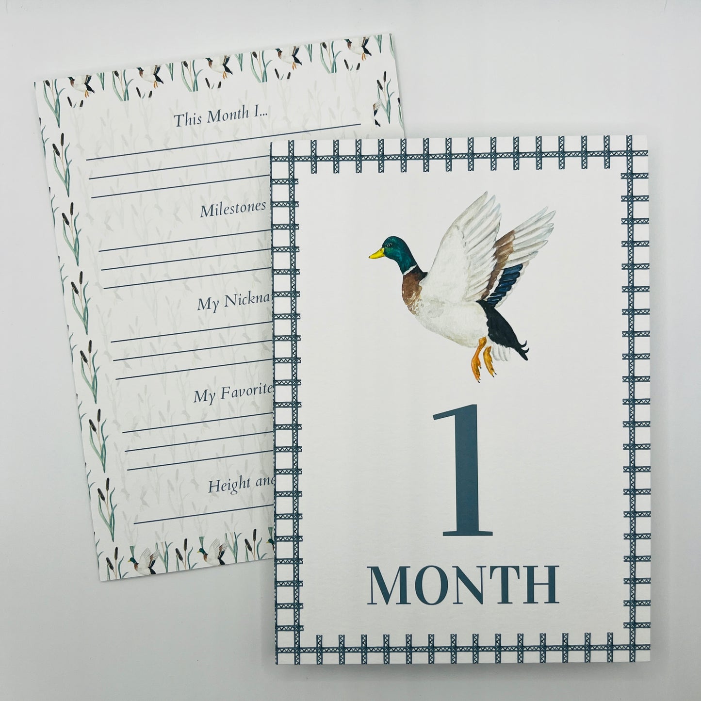 Mallard Duck Month Cards