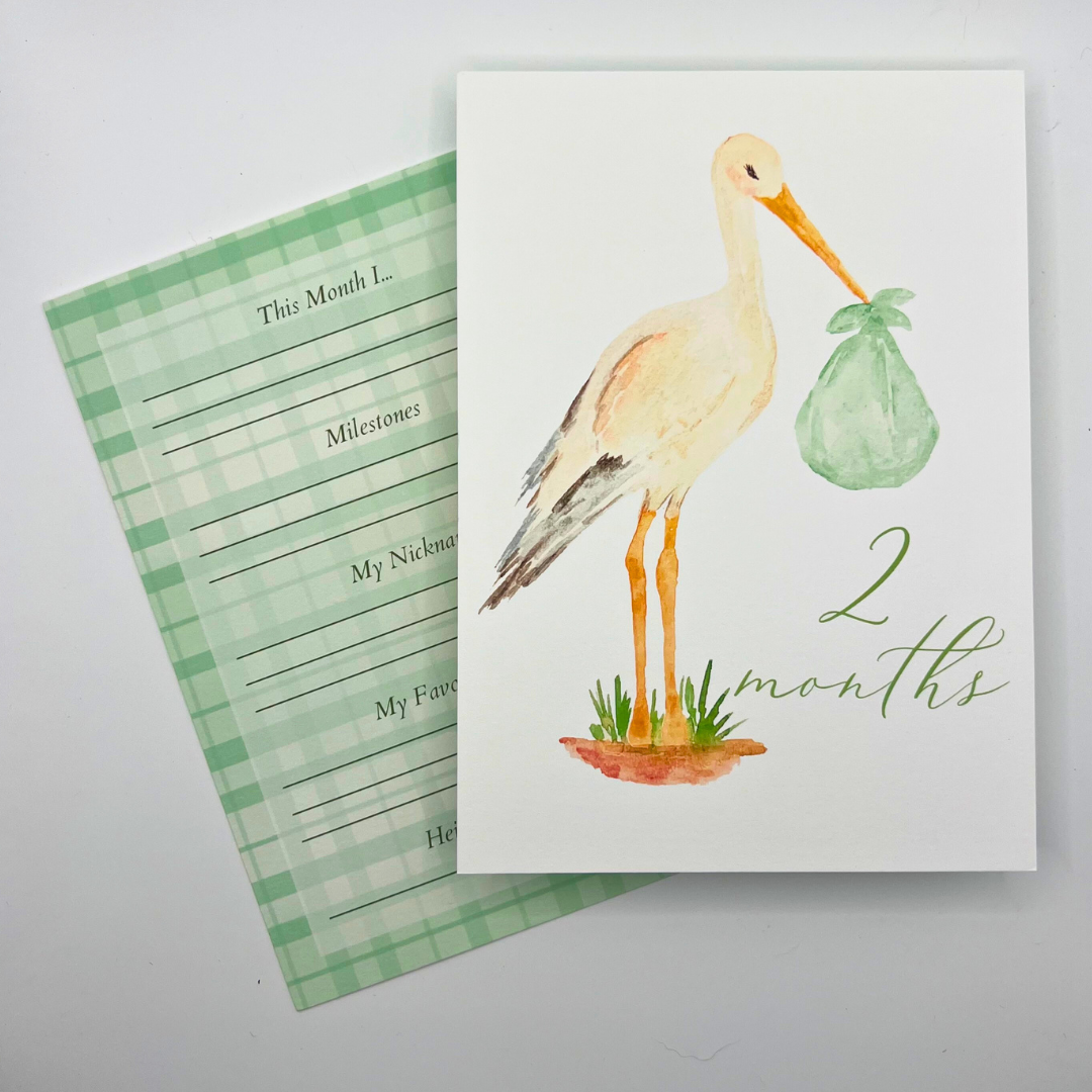 Stork Milestone Month Cards