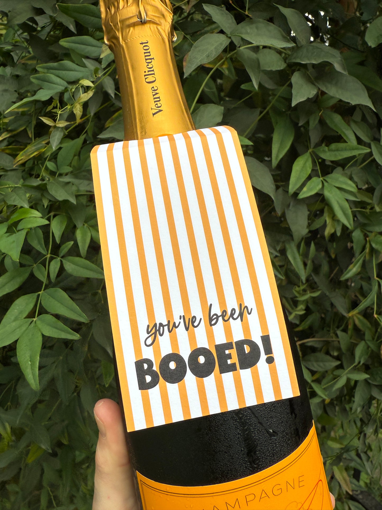 You’ve Been Booed! Wine Tags